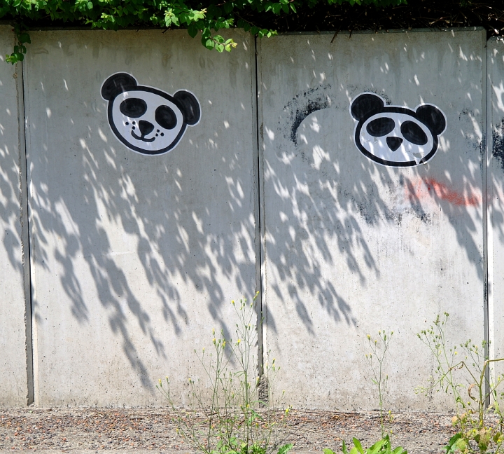 panda faces